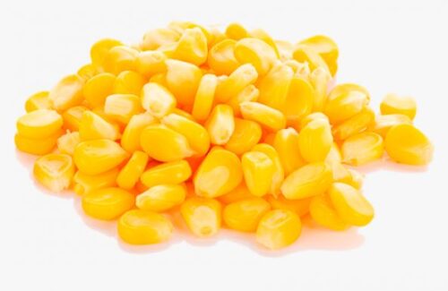 Maicitos